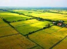 ĐẤT NÔNG NGHIỆP HẾT THỜI HẠN SỬ DỤNG CÓ BÁN ĐƯỢC KHÔNG?