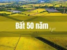 ĐẤT 50 NĂM LÀ GÌ? CÓ XÂY NHÀ TRÊN ĐẤT 50 NĂM ĐƯỢC KHÔNG?