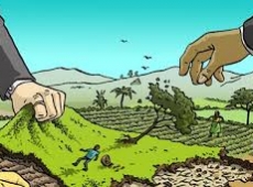 SỬ DỤNG ĐẤT SAI MỤC ĐÍCH THÌ CÓ BỊ THU HỒI KHÔNG?
