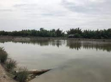 THỦ TỤC CHUYỂN MỤC ĐÍCH SỬ DỤNG ĐẤT TỪ ĐẤT TRỒNG LÚA SANG ĐẤT NUÔI TRỒNG THỦY SẢN