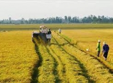 ĐẤT THỔ CANH CÓ CHUYỂN THÀNH ĐẤT THỔ CƯ ĐƯỢC KHÔNG?