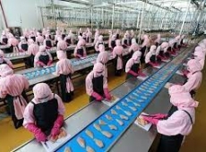 BẮT ÉP NHÂN VIÊN ĐI LÀM NGÀY LỄ, CÔNG TY CÓ BỊ PHẠT KHÔNG?