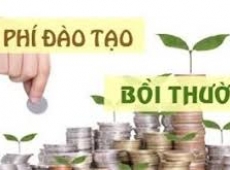 LUẬT SƯ TƯ VẤN GIẢI QUYẾT TRANH CHẤP LAO ĐỘNG VỀ BỒI THƯỜNG CHI PHÍ ĐÀO TẠO TẠI TPHCM